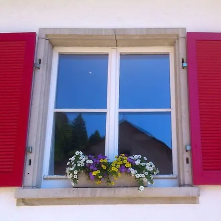 Alte Scheune Ferienwohnung * 霍兴斯旺德