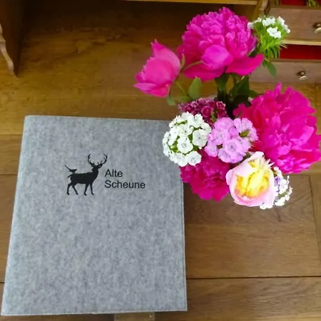 Alte Scheune Ferienwohnung * 霍兴斯旺德